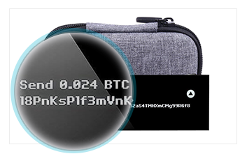 The hardware wallet along with a standard case