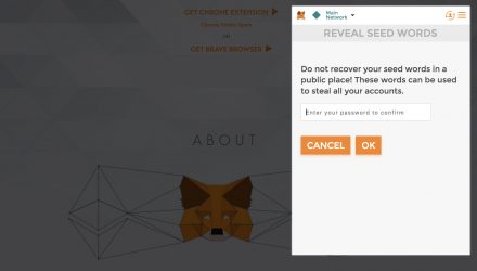 Setting up a backup password in Metamask