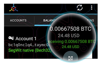 Here is the balance of the Bitcoins stored in the wallet