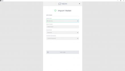 Neon Wallet Recovery With Import Option