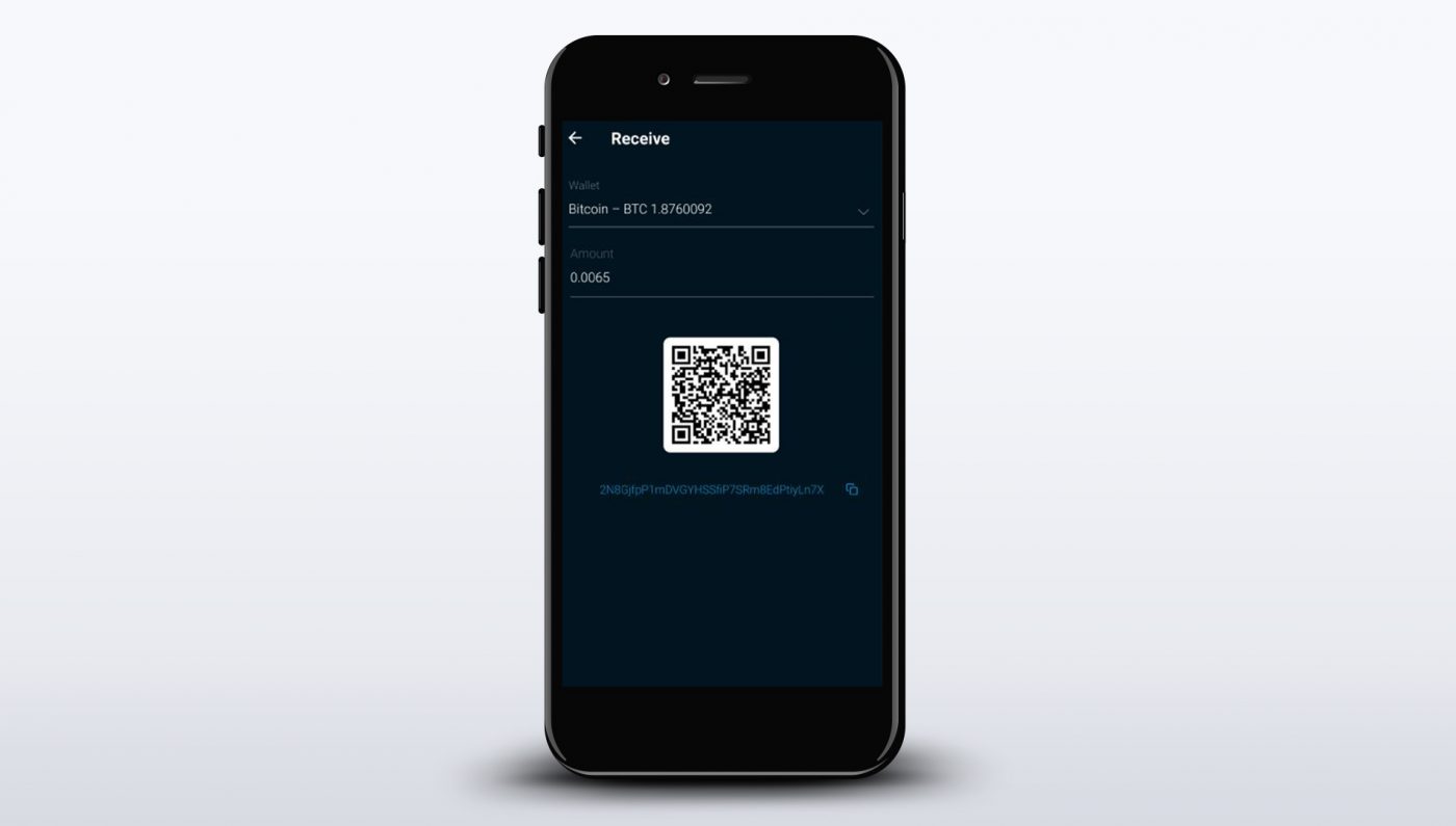 Xapo, 4-digit pin and email to access my wallet? Really? : r/Bitcoin