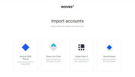 Screenshot of the Import restore options of the Waves wallet