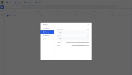 Waves' backup phrase and private key options