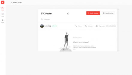 A screenshot showing the detailed BTC pocket information of the account